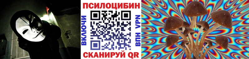 Галлюциногенные грибы Psilocybine cubensis  Морозовск 